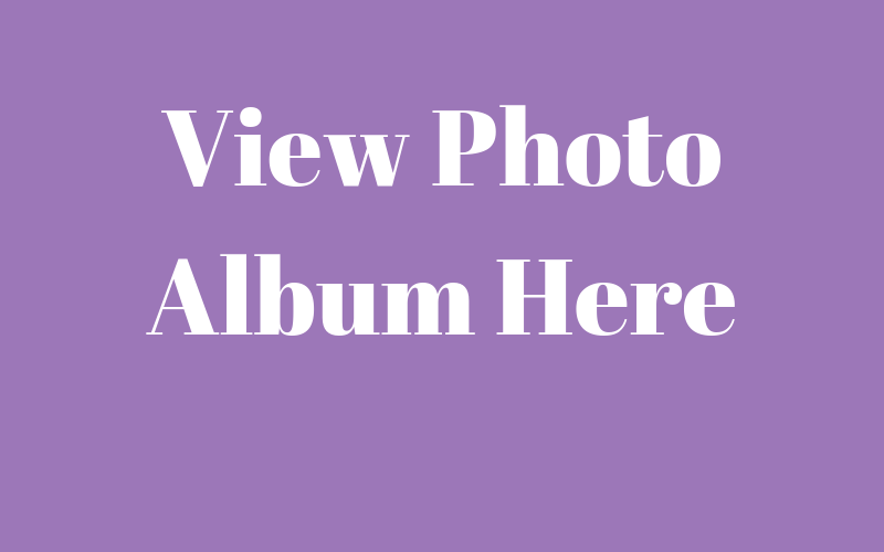 View_Photo_Albums_Here_1.png